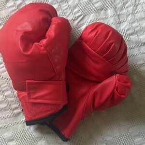 Red Boxing Gloves